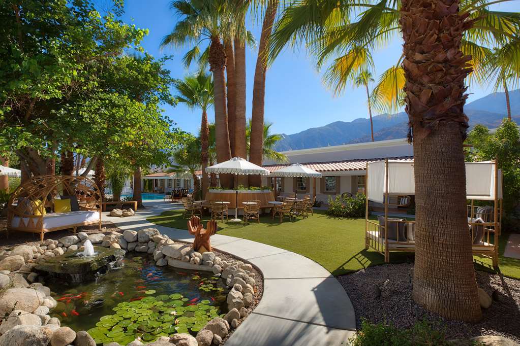 Dive Palm Springs Hotel Eksteriør billede